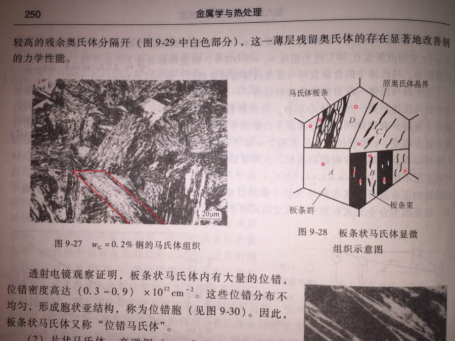 板条马氏体画示意图图片