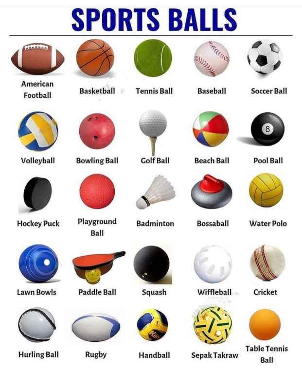 各种球类名称图片